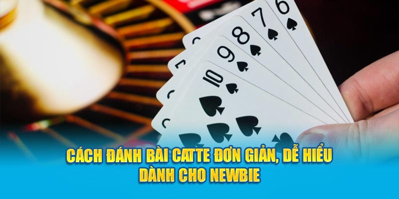 cach-danh-bai-catte-don-gian-de-hieu-danh-cho-newbie