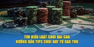 tim-hieu-luat-choi-bai-cao-huong-dan-tips-choi-hay-tu-cao-thu