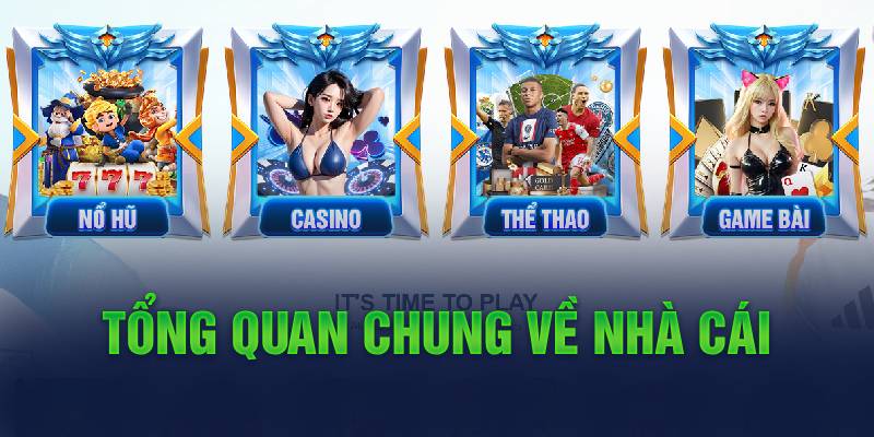 tong-quan-chung-ve-nha-cai-